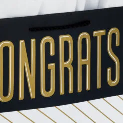 Hallmark 13" Assorted Grad Designs 3-Pack Large Gift Bags With Tissue Paper -Hot Sale Hallmark Store Assorted Grad Designs 3Pack Large Gift Bags With Tissue Paper 5GBC1015 05