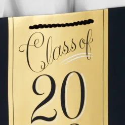 Hallmark 13" Assorted Grad Designs 3-Pack Large Gift Bags With Tissue Paper -Hot Sale Hallmark Store Assorted Grad Designs 3Pack Large Gift Bags With Tissue Paper 5GBC1015 06