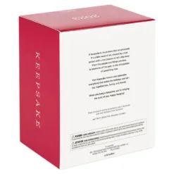 Hallmark National Lampoon's Christmas Vacation™ Don't Try This At Home, Kids! Ornament With Light And Sound -Hot Sale Hallmark Store Christmas Vacation Clark on Sled Keepsake Ornament 2499QXI6269 05