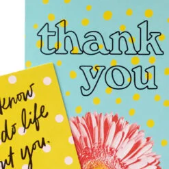 Hallmark Colorful Daisies Boxed Thank-You Notes, Pack Of 50 -Hot Sale Hallmark Store Colorful Daisies Boxed ThankYou Notes 3THK2543 05