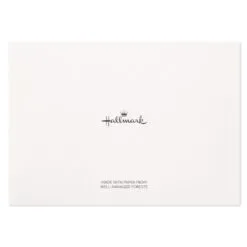 Hallmark Flowers And Dots Assorted Blank Note Cards, Box Of 50 11 Hallmark Flowers And Dots Assorted Blank Note Cards, Box Of 50 -Hot Sale Hallmark Store Flowers and Dots Assorted Blank Note Cards 5WDN2069 06