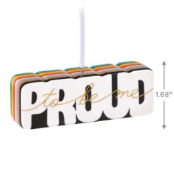Hallmark Proud To Be Me Porcelain Ornament -Hot Sale Hallmark Store LGBTQ Proud to Be Me Keepsake Ornament 1799QHX3029 03