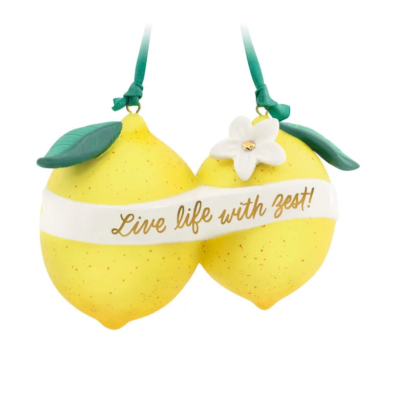 Hallmark Live Life With Zest! Porcelain Ornament 1 Hallmark Live Life With Zest! Porcelain Ornament
