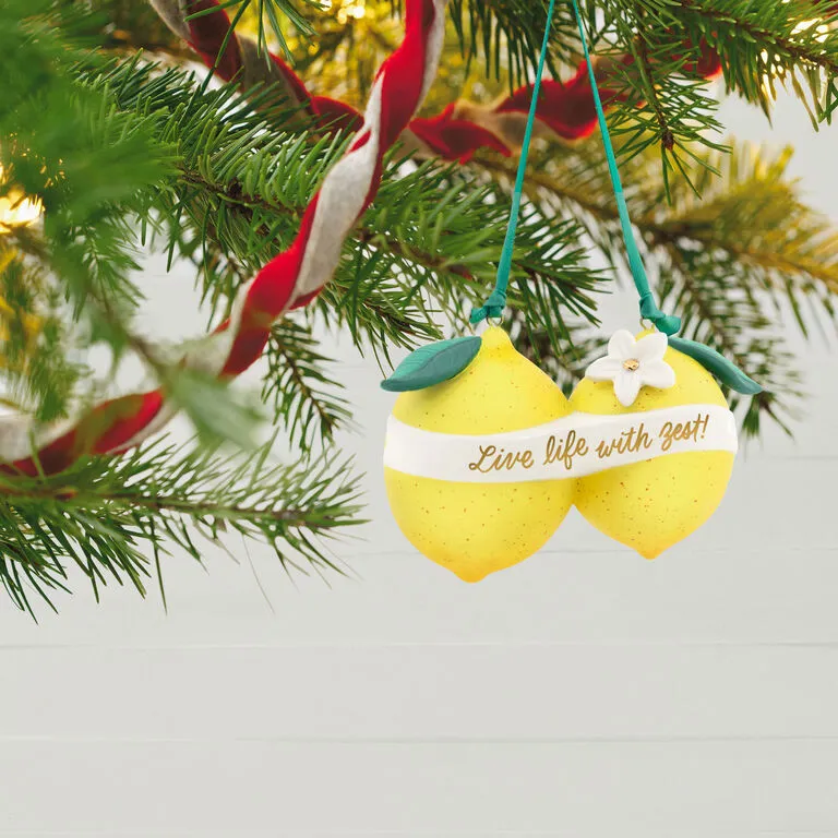 Hallmark Live Life With Zest! Porcelain Ornament 2 Hallmark Live Life With Zest! Porcelain Ornament - Image 2