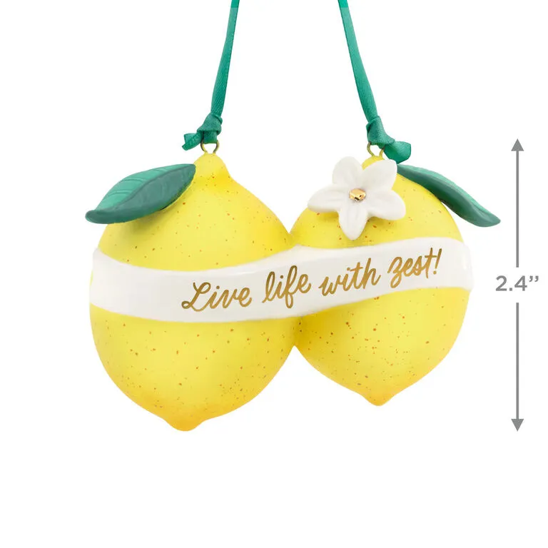 Hallmark Live Life With Zest! Porcelain Ornament 3 Hallmark Live Life With Zest! Porcelain Ornament - Image 3
