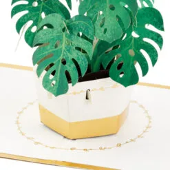 Hallmark Plant In Pot 3D Pop-Up Thinking Of You Card -Hot Sale Hallmark Store Plant in Pot 3D PopUp Thinking of You Card 1299LAD2900 03