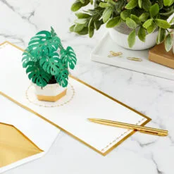 Hallmark Plant In Pot 3D Pop-Up Thinking Of You Card -Hot Sale Hallmark Store Plant in Pot 3D PopUp Thinking of You Card 1299LAD2900 07