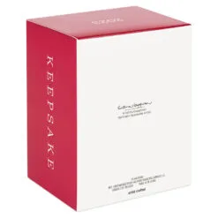 Hallmark Star Wars: Return Of The Jedi™ A Curious Encounter On Endor™ Ornament -Hot Sale Hallmark Store Return of the Jedi Wicket Ewok Keepsake Ornament 2699QXI7097 05