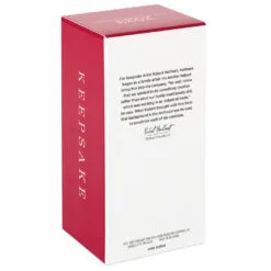 Hallmark Toymaker Santa Ornament -Hot Sale Hallmark Store Santa With Drone Keepsake Ornament 1999QXR8047 05