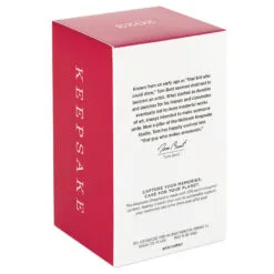 Hallmark Season's Gardenings Ornament -Hot Sale Hallmark Store TreeShaped Gardening Planter Keepsake Ornament 1899QGO2947 05